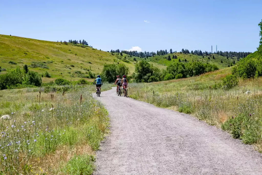 A scenic gravel trail surrounded by green hills with wildflowers on either side, as three cyclists ride down the path under a clear blue sky in Boulder, Colorado.