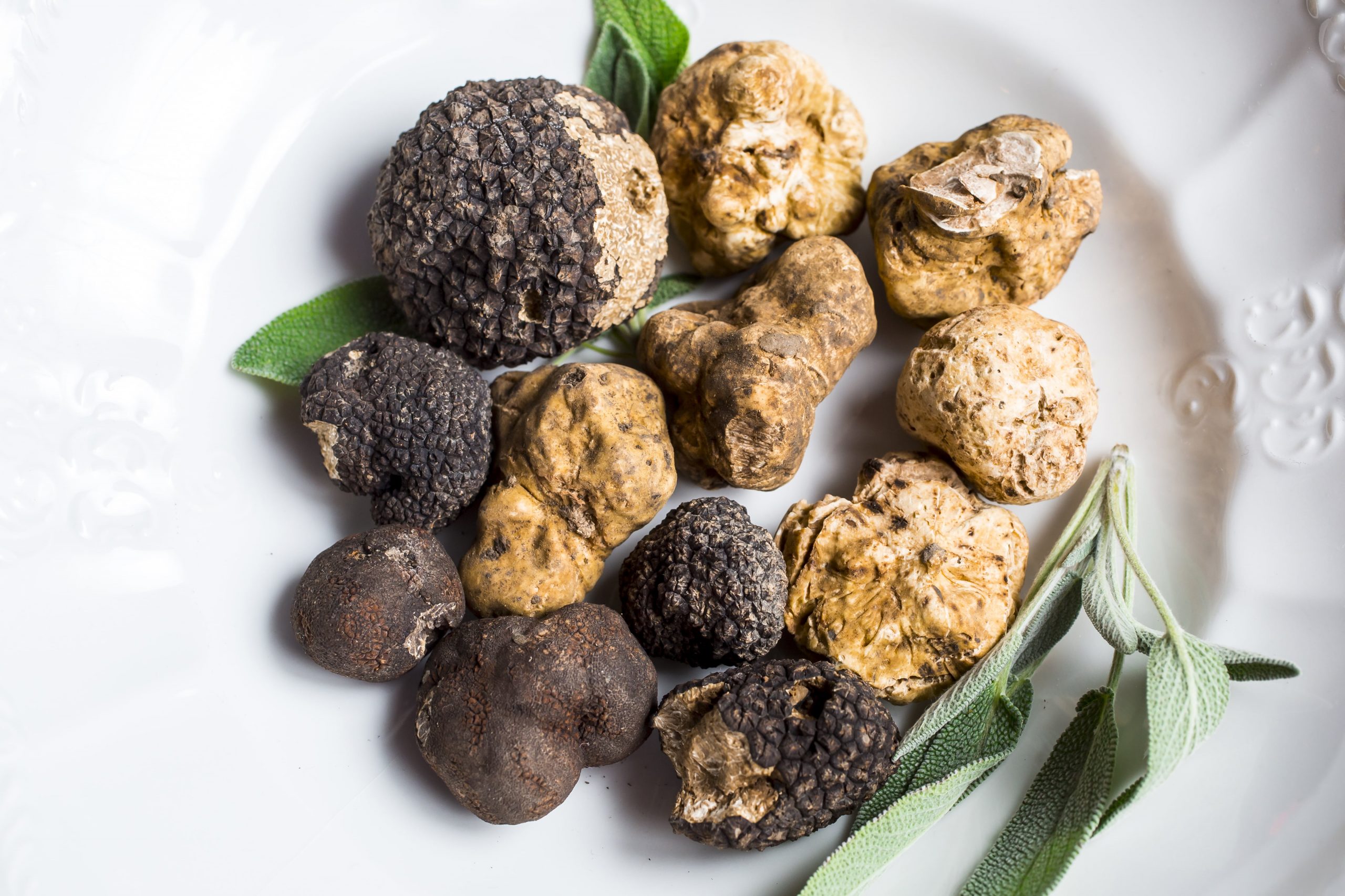 White, black and summer truffles can all be discovered in the Italian countryside