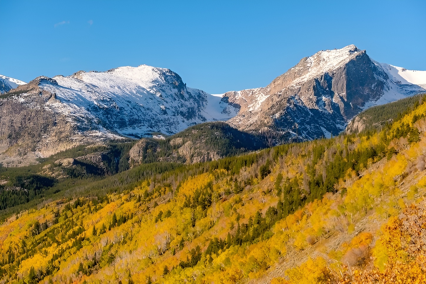Snow-capped Rocky Mountains with golden autumn foliage covering the foothills under a clear blue sky.
