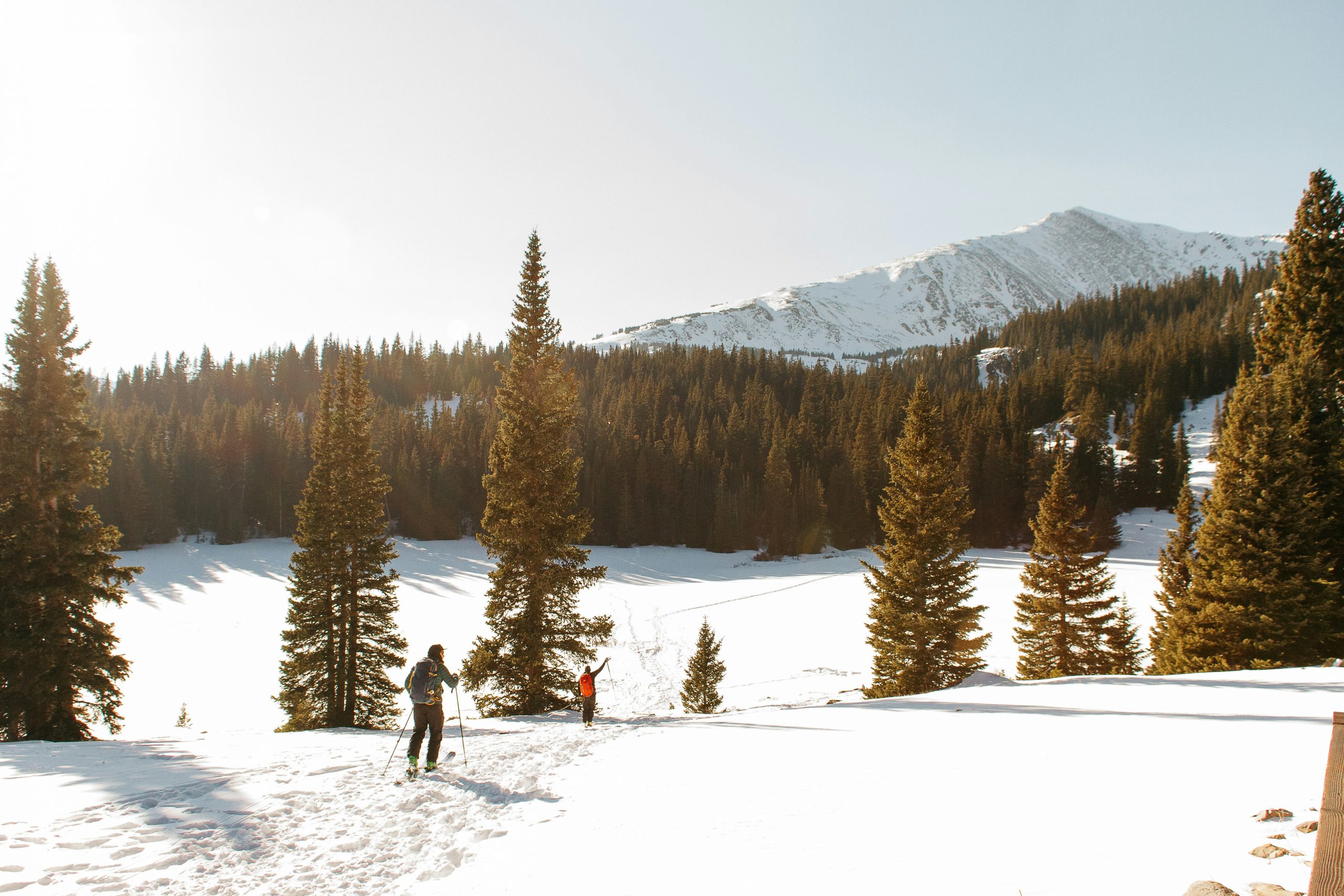 Two skiers trek through snowy pine trees towards a mountain, bathed in warm sunlight under a clear sky.