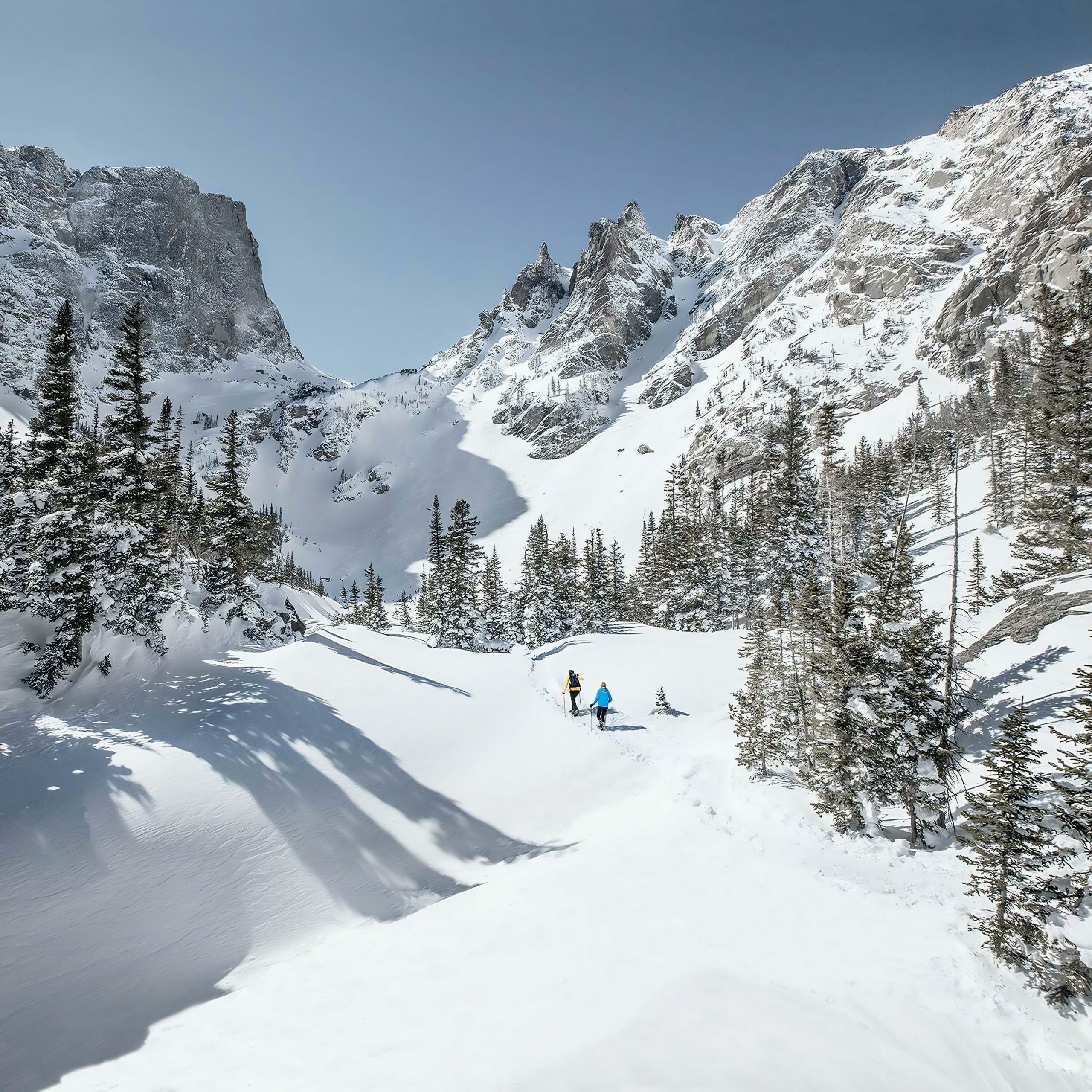Snowy mountain landscape with skiers in Colorado, surrounded by pine trees.